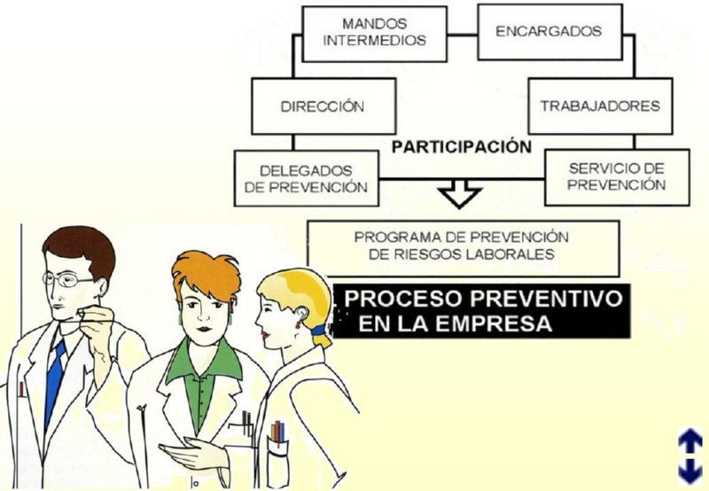 11 PROCESO PREVENTIVO